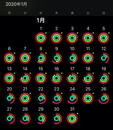 アクティビティ1月実績