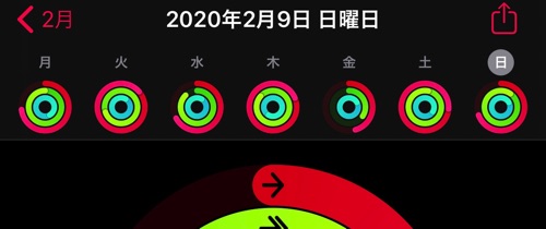 アクティビティ2020年2月第1週
