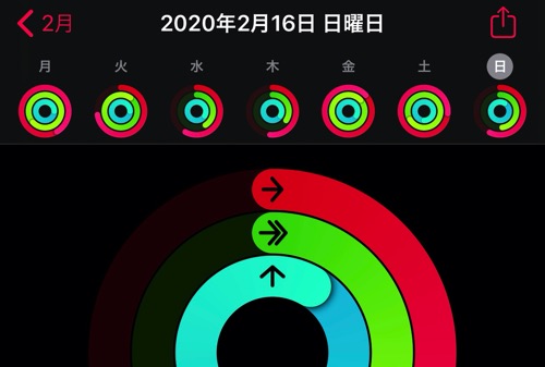 アクティビティ実績
