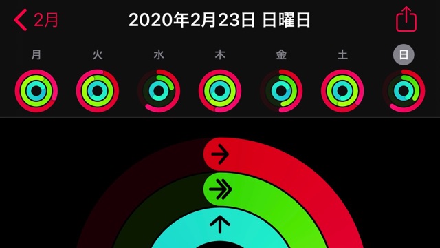 リングの実績