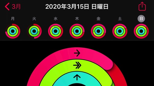 3月2週目のアクティビティ