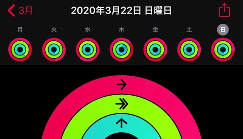 アクティビティ実績