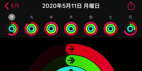 2020年5月第2週のアクティビティ
