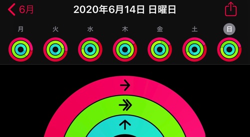2020年6月第2週のアクティビティ
