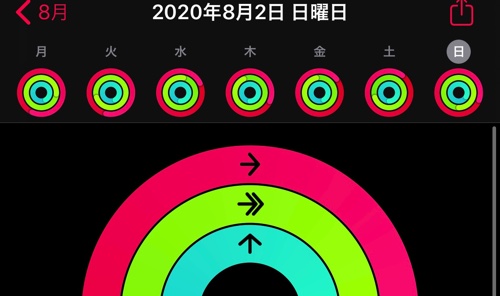 アクティビティ20200803