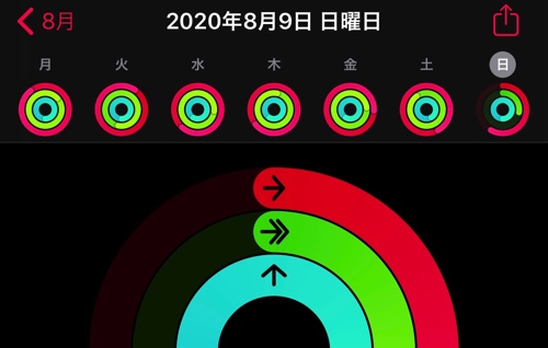 アクティビティ20200810