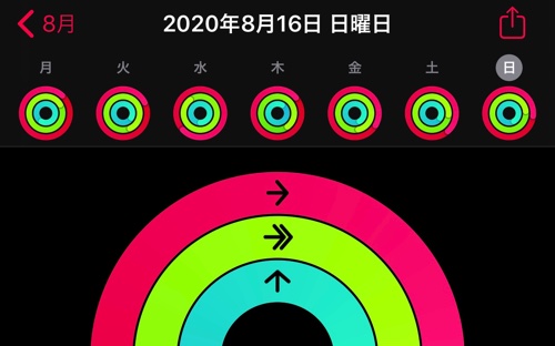 アクティビティ20200817