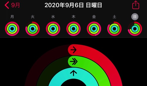 アクティビティ20200807