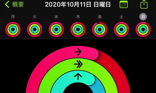 アクティビティ20201012
