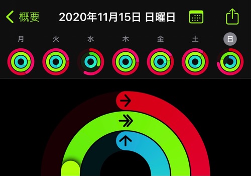 アクティビティ20201116