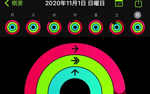 アクティビティ20201102