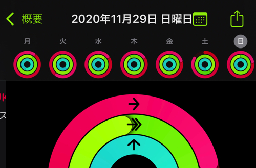 アクティビティ20201202