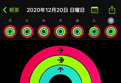 アクティビティ20201221
