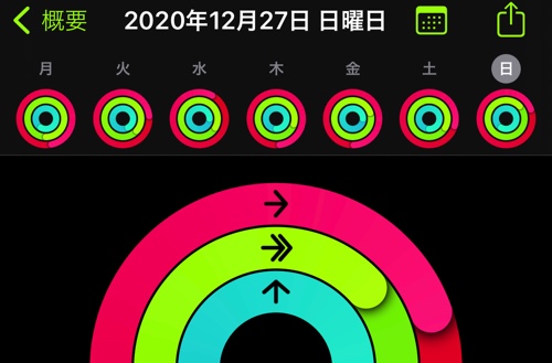 アクティビティ20201228