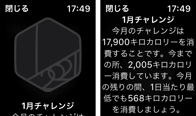 1月チャレンジ