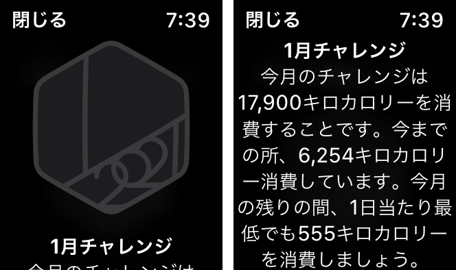 1月チャレンジ
