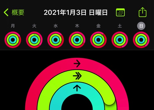 アクティビティ20210104