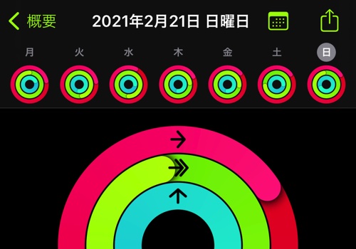アクティビティ20210222