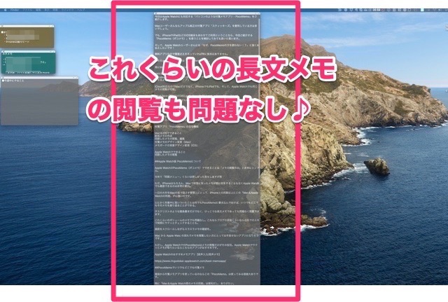 長文メモも