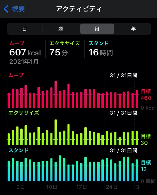 過去の実績